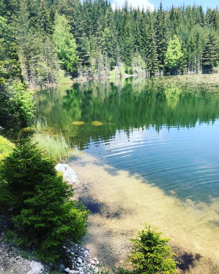 Apartman Bojovic Žabljak Buitenkant foto
