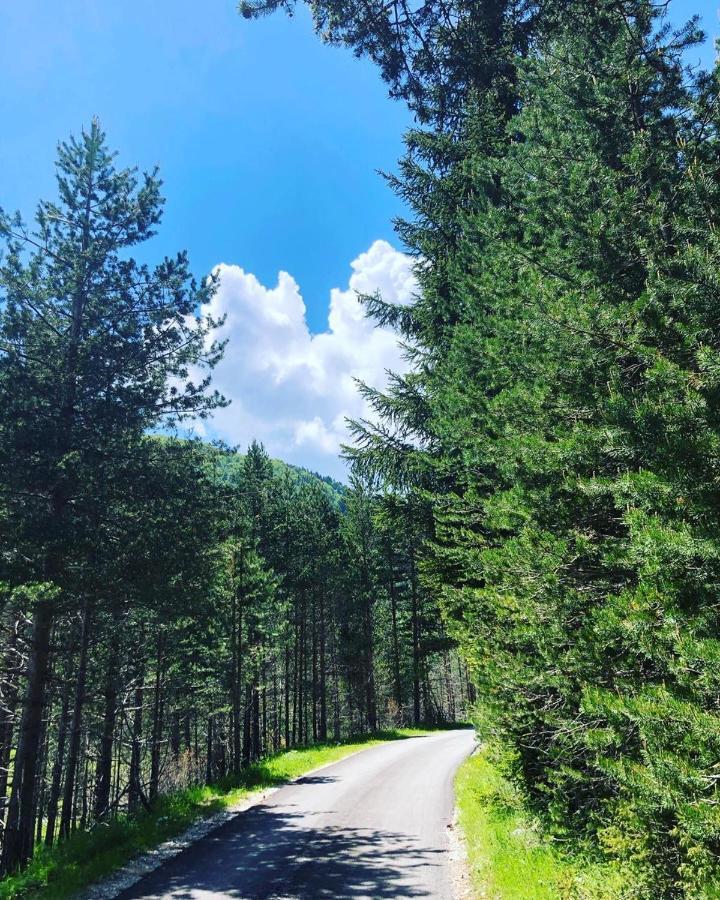 Apartman Bojovic Žabljak Buitenkant foto