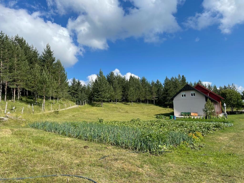 Apartman Bojovic Žabljak Buitenkant foto